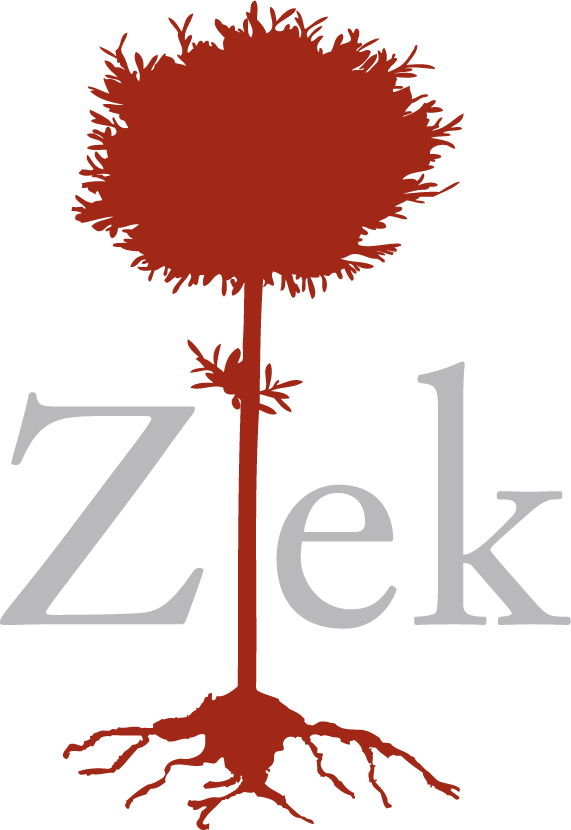 Logotyp